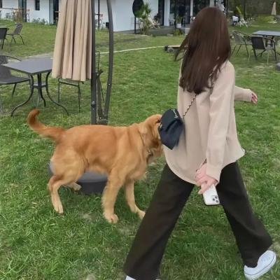 女生要革命